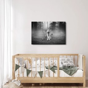 Obraz - Strážca lesa, čiernobiely (90x60 cm)