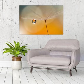 Obraz - Makro kvetu (90x60 cm)