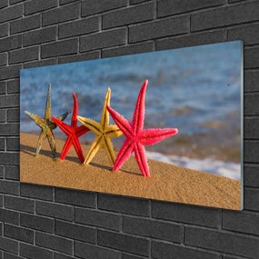 Obraz na skle Pláž hviezdice umenie 100x50 cm