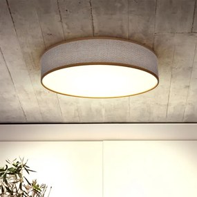 BRILAGI - LED Stmievateľné stropné svietidlo CARMEN LED/48W/230V 3000-6500K + DO