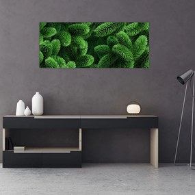 Obraz - Vetvičky ihličnanu (120x50 cm)