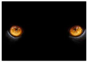 Zvieracie oči - obraz