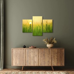 Obraz - Pole s obilím (90x60 cm)