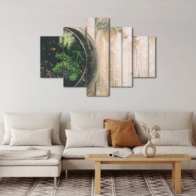 Obraz sukulentov v skle (150x105 cm)