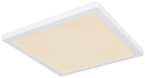 Globo 12380-24W - LED Stropné svietidlo LASSE LED/24W/230V 3000/4000/6500K biela