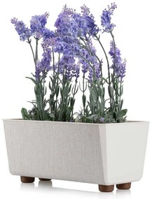 PLASTOVÝ KVETINÁČ SALVIA TX 28,5X17 CM KRÉMOVÁ
