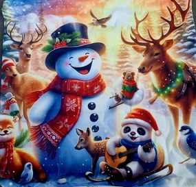 Obliečka na vankúš D 45x45 cm