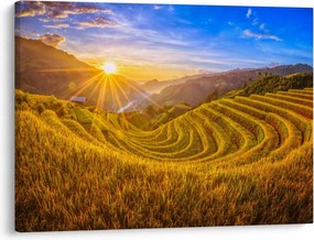 Obraz - Ryžové terasy vo Vietname (70x50 cm)