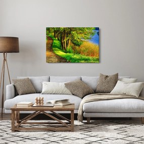 Obraz chodníky pozdĺž vody (90x60 cm)