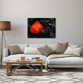 Obraz - Žeravý nerast (70x50 cm)