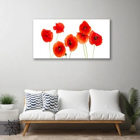 Obraz Canvas Maky rastlina príroda 140x70 cm