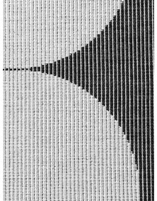 Čierno-biely vnútorný a vonkajší behúň 80x250 cm Duet Bowen – NORTHRUGS