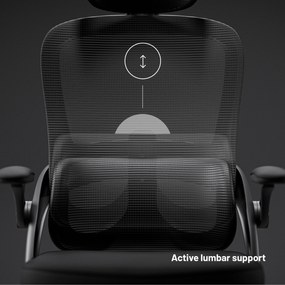 Ergonomická kancelárska stolička Diablo V-Light, čierna