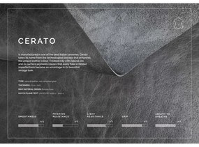 Červenohnedá kožená pohovka MESONICA Puzo, 240 cm