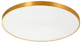 Stropná lampa LED okrúhla zlatá SIERRA 80 cm