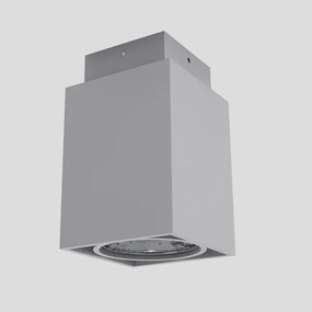 RENDL R10164 EX prisadené svietidlo, downlight striebornosivá