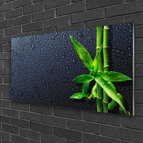Skleneny obraz Bambus stonka rastlina príroda 125x50 cm