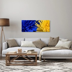 Obraz - detail kvetov (120x50 cm)