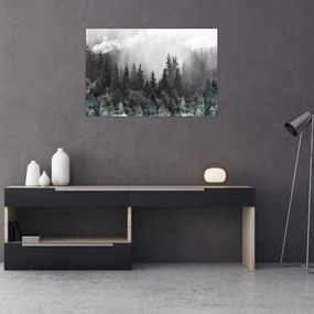 Obraz - Les s ilustrovanými prvkami (90x60 cm)