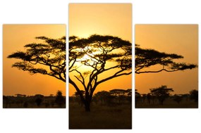 Obraz - Africká savana (90x60 cm)