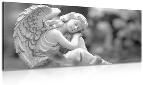 Obraz spokojný anjel v čiernobielom prevedení - 100x50