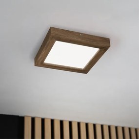 Brilagi-LED Stmievateľné svietidlo WOODY FRAME LED/24W/230V dub 30x30 cm IP44 + DO