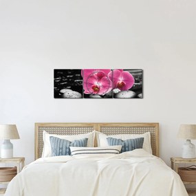 Obraz - Ružové orchidey (s hodinami) (90x30 cm)
