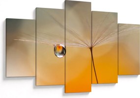 Obraz - Makro kvetu (150x105 cm)