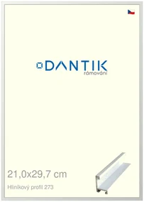 DANTIK rám na obraz 21x29,7 | ALU Bílá matná (Sklo Čiré)