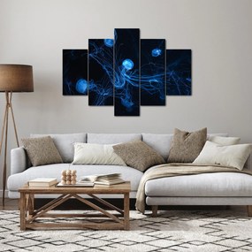 Obraz - Medúzy (150x105 cm)