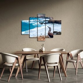 Obraz - Sula modronohá (150x105 cm)