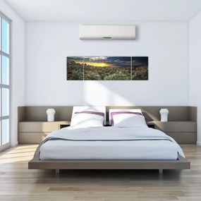 Obraz - zelený sád