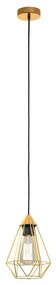 Eglo 43681 - Luster na lanku TARBES 1xE27/60W/230V pr. 17,5 cm 43681