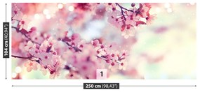 Fototapeta Vliesová Čerešňové kvety 152x104 cm