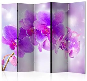 Paraván - Purple Orchids II [Room Dividers]