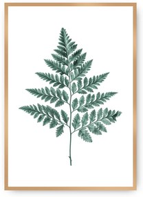 Plagát Fern 21 x 30 cm Emerald Green