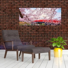 Obraz - Hirosaki, Japonsko (120x50 cm)