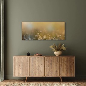 Obraz - Olejomaľba sedmokrások (120x50 cm)