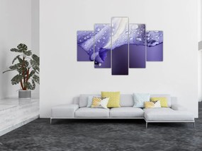 Obraz - Okvetný lístok s kvapkami (150x105 cm)