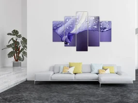 Obraz - Okvetný lístok s kvapkami (150x105 cm)