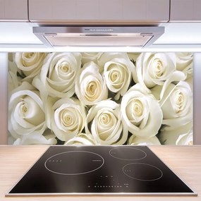 Sklenený obklad Do kuchyne Ruže kvety rastlina 100x50 cm