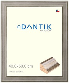 DANTIK rám na obraz 40x50 | Museo stříbrná (Sklo Čiré)
