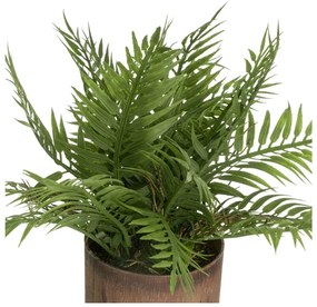 Umelé rastliny v súprave 2 ks (výška 22 cm) – Casa Selección