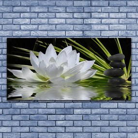 Obraz plexi Kvety kamene zen voda 120x60 cm