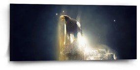Sablio Obraz Orol - 110x50 cm