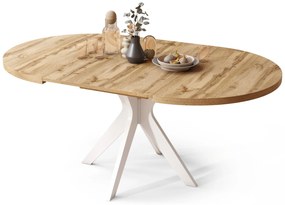 RENZO Dub Wotan/biela noha - OKRÚHLY STÔL Ø110 ROZKLADACÍ DO 180 cm | DO KUCHYNE JEDÁLNE OBÝVAČKY RETRO