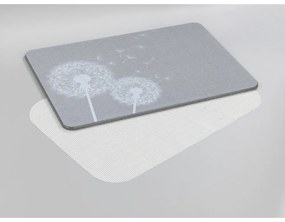 Sivá kúpeľňová predložka z kremeliny 39x60 cm Astera – Wenko