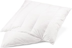 Vankúš s výplňou z limbového dreva, cca 70 x 90 cm