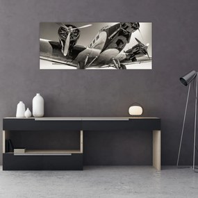 Obraz - Historické lietadlo (120x50 cm)