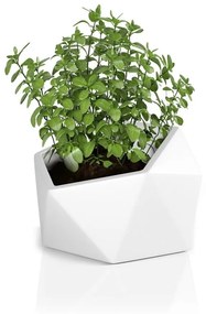 Kvetináč Vesari biely